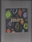 Dvacet zářících drahokamů - náhled