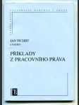 Příklady z pracovního práva - náhled
