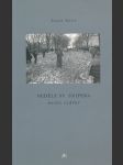 Neděle sv. snipera: noční vidění - náhled