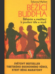Běžící buddha mipham sakyong - náhled