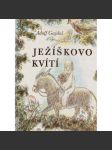 Ježíškovo kvítí - náhled