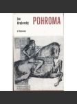 Pohroma - náhled