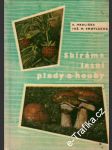 Sbíráme lesní plody a houby - náhled
