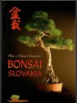 Bonsai Slovakia (veľký formát) - náhled