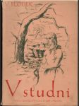 V studni (veľký formát) - náhled