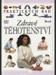 101 praktických rad - zdravé Těhotenství - náhled