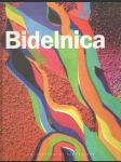 Collection of Slovak Art (Daniel Bidelnica) - náhled