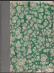Příval - náhled