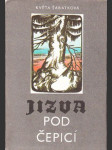 Jizva pod čepicí - náhled