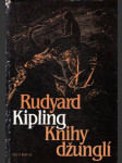 Knihy džunglí - náhled