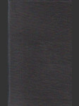 Posel úsvitu - náhled