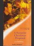 A Surprise Christmas Proposal (malý formát) - náhled