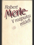 V rozpuku mládí - náhled