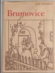 Brumovice - náhled