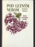 Pod letným nebom - náhled