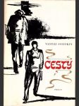 Cesty - náhled