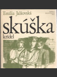 Skúška krídel - náhled