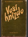 Vosí hnízdo - náhled