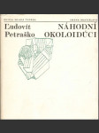 Náhodní okoloidúci - náhled