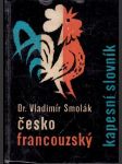 Česko francouzský kapesní slovník - náhled