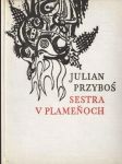 Sestra v plameňoch - náhled