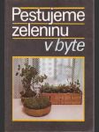 Pestujeme zeleninu v byte - náhled