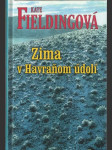 Zima v Havraňom údolí - náhled