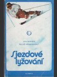 Sjezdové lyžování - náhled