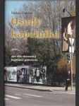 Osudy kapelníka - náhled