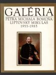 Galéria Petra Michala Bohúňa - náhled