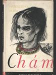 Chám - náhled