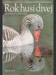 Rok husi divej (veľký formát) - náhled