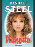Nehoda - náhled