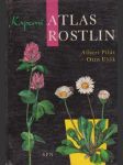 Kapesní atlas rostlin - náhled
