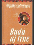 Budú aj tŕne - náhled