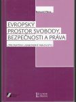 Evropský prostor svobody, bezpečnosti a práva - Prizmatem Lisabonské smlouvy - náhled