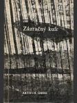 Zázračný kufr (malý formát) - náhled