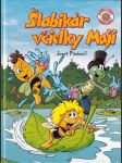 Šlabikár včielky Maji (veľký formát) - náhled