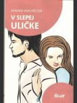 V slepej uličke - náhled