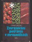 Zmrazování potravin v mrazničkách - náhled