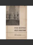 Pod kopulí bílé svatyně II. díl - náhled