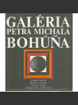 Galéria Petra Michala Bohúňa (Liptovská galerie - Liptovský Mikuláš) - náhled