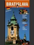 Pressburg Bratislava Stadtpläne - náhled