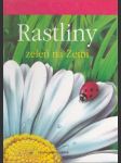 Rastliny zeleň na zemi (veľký formát) - náhled