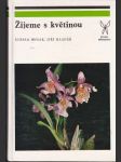 Žijeme s květinou - náhled