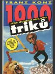 1000 zcela legálních daňových triků - náhled