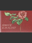 Izbové rastliny (malý formát) - náhled