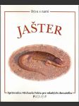 Býva s nami jašter - náhled