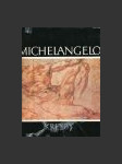 Michelangelo kresby - náhled
