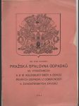 Pražská spalovna odpadků ve Vysočanech - náhled